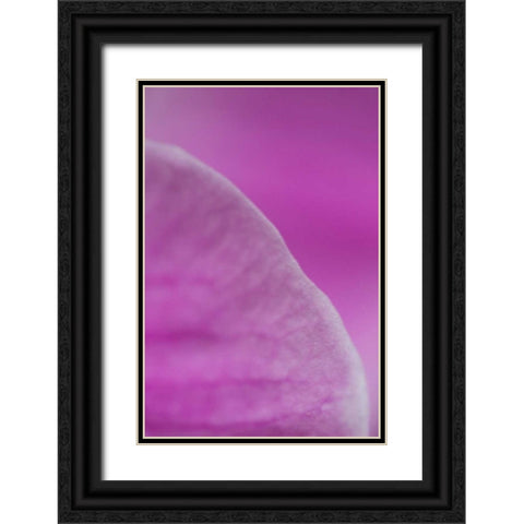 Purple I Black Ornate Wood Framed Art Print with Double Matting by Millet, Karyn