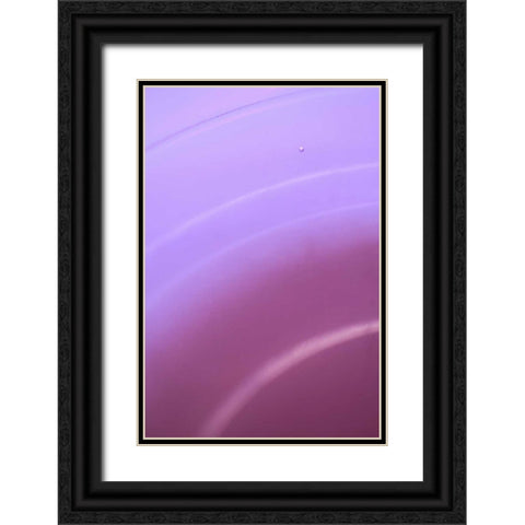 Purple II Black Ornate Wood Framed Art Print with Double Matting by Millet, Karyn
