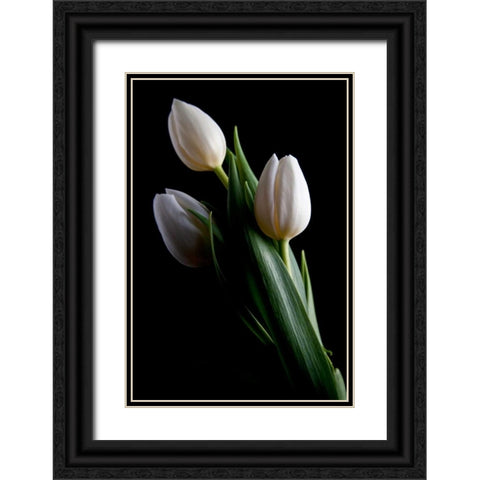 Tulips IV Black Ornate Wood Framed Art Print with Double Matting by McNemar, C. Thomas