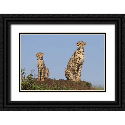 Set by Example Black Ornate Wood Framed Art Print with Double Matting by Parker, Susann