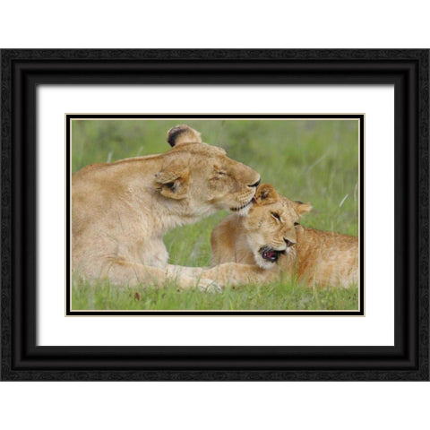 Gratitude Black Ornate Wood Framed Art Print with Double Matting by Parker, Susann