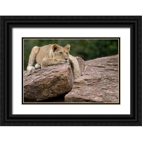 Lounging Black Ornate Wood Framed Art Print with Double Matting by Parker, Susann