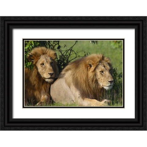 The Duo Black Ornate Wood Framed Art Print with Double Matting by Parker, Susann