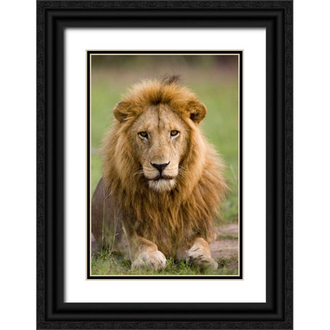 The King Black Ornate Wood Framed Art Print with Double Matting by Parker, Susann