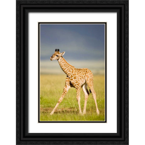 First Steps Black Ornate Wood Framed Art Print with Double Matting by Parker, Susann