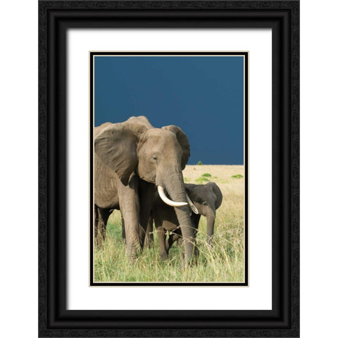 Protection Black Ornate Wood Framed Art Print with Double Matting by Parker, Susann