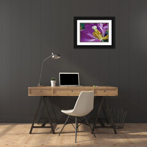 Purple Tulip II Black Ornate Wood Framed Art Print with Double Matting by Peterson, Lee