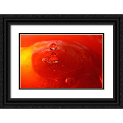 Red Drink Drop III Black Ornate Wood Framed Art Print with Double Matting by Putman, Tammy