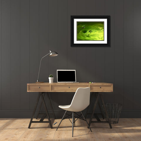 Lemon Lime Drop I Black Ornate Wood Framed Art Print with Double Matting by Putman, Tammy