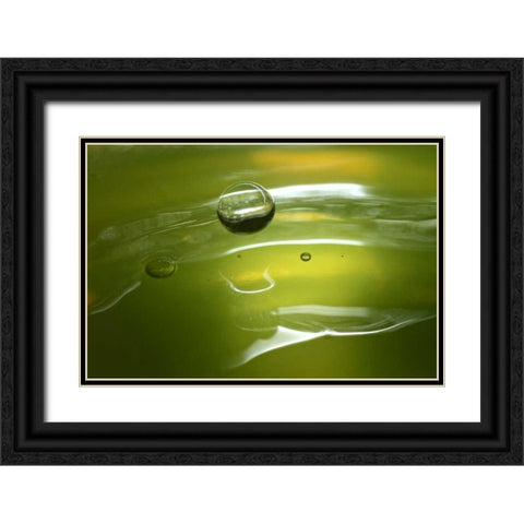 Lemon Lime Drop II Black Ornate Wood Framed Art Print with Double Matting by Putman, Tammy