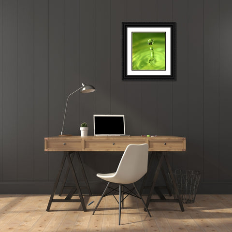Lemon Lime Drop III Black Ornate Wood Framed Art Print with Double Matting by Putman, Tammy