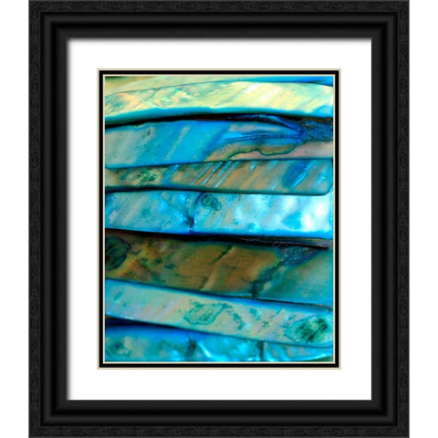 Shell Be Blue I Black Ornate Wood Framed Art Print with Double Matting by Putman, Tammy
