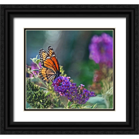 Monarch Garden II Black Ornate Wood Framed Art Print with Double Matting by Putman, Tammy