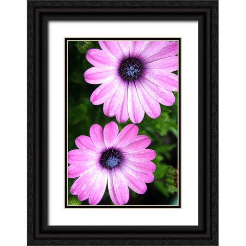 In the Middle Black Ornate Wood Framed Art Print with Double Matting by Putman, Tammy