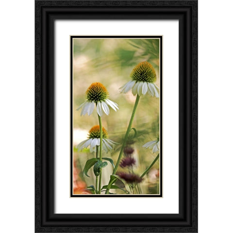 White Cones II Black Ornate Wood Framed Art Print with Double Matting by Putman, Tammy