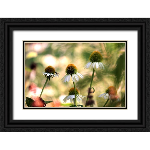 White Cones III Black Ornate Wood Framed Art Print with Double Matting by Putman, Tammy