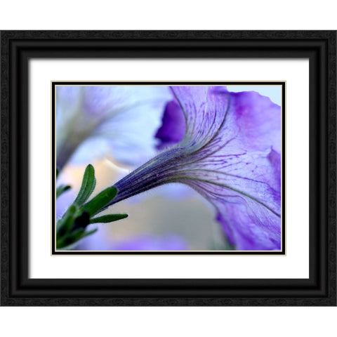 Purple Light Black Ornate Wood Framed Art Print with Double Matting by Putman, Tammy