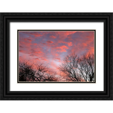 Dusk Silhouette III Black Ornate Wood Framed Art Print with Double Matting by Putman, Tammy