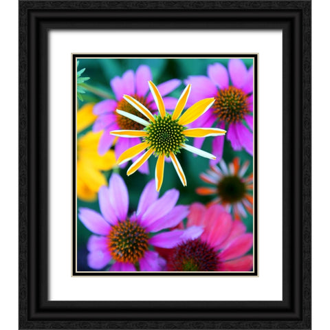 Colorful Bouquet II Black Ornate Wood Framed Art Print with Double Matting by Putman, Tammy
