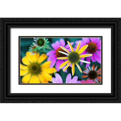Colorful Bouquet III Black Ornate Wood Framed Art Print with Double Matting by Putman, Tammy