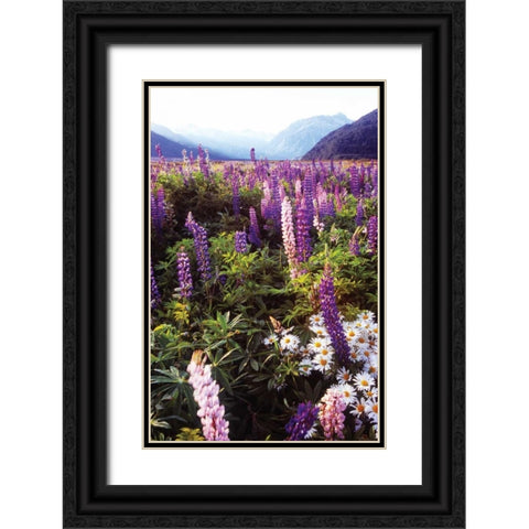 Russell Lupin I Black Ornate Wood Framed Art Print with Double Matting by Stefko, Bob