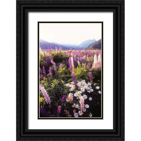 Russell Lupin II Black Ornate Wood Framed Art Print with Double Matting by Stefko, Bob