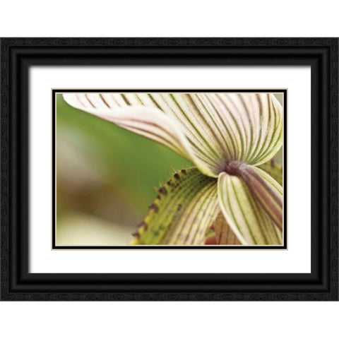 Green Mist Black Ornate Wood Framed Art Print with Double Matting by Styber, Dana