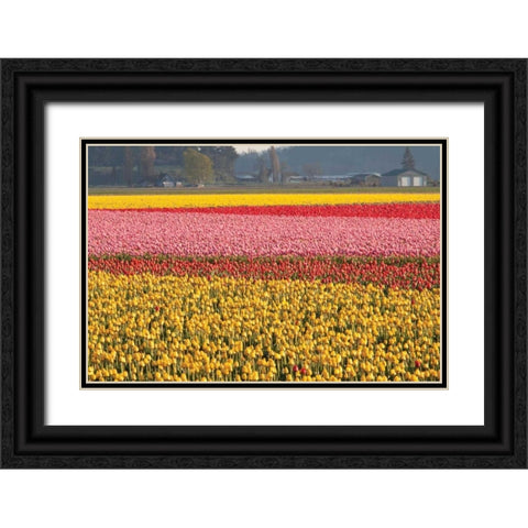 Reds Pinksand Yellows Black Ornate Wood Framed Art Print with Double Matting by Styber, Dana