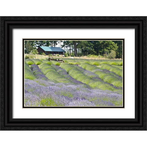 Lavender Hill I Black Ornate Wood Framed Art Print with Double Matting by Styber, Dana