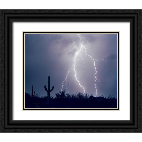 Electric Desert I Black Ornate Wood Framed Art Print with Double Matting by Taylor, Douglas