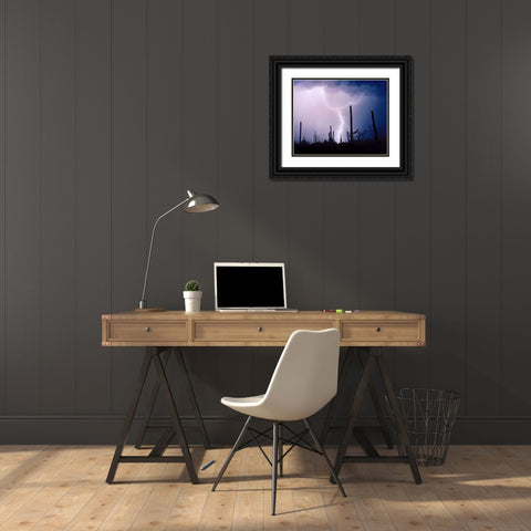 Electric Desert II Black Ornate Wood Framed Art Print with Double Matting by Taylor, Douglas