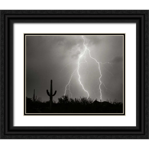 Electric Desert I - BW Black Ornate Wood Framed Art Print with Double Matting by Taylor, Douglas