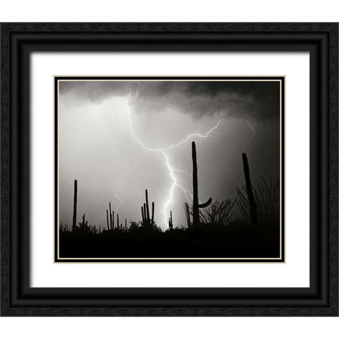 Electric Desert II - BW Black Ornate Wood Framed Art Print with Double Matting by Taylor, Douglas
