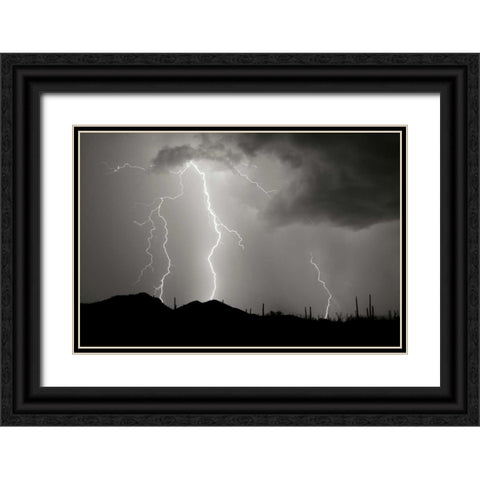 Striking Symmetry II - BW Black Ornate Wood Framed Art Print with Double Matting by Taylor, Douglas