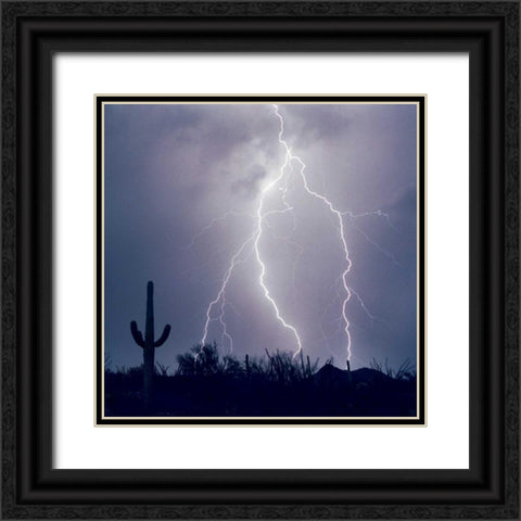 Electric Desert III Black Ornate Wood Framed Art Print with Double Matting by Taylor, Douglas
