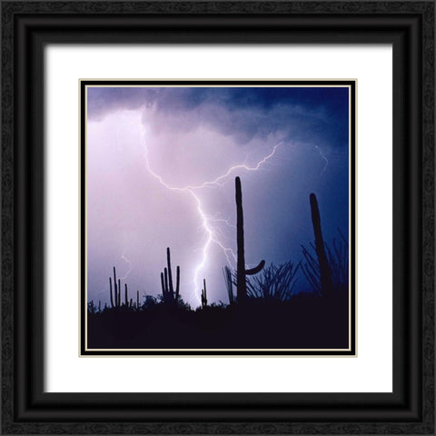 Electric Desert IV Black Ornate Wood Framed Art Print with Double Matting by Taylor, Douglas