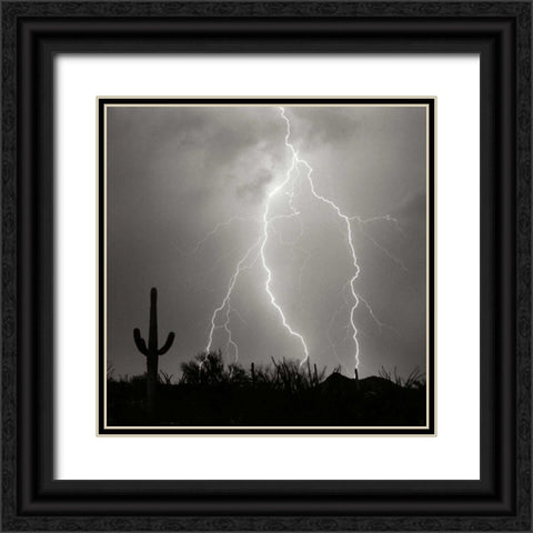 Electric Desert III - BW Black Ornate Wood Framed Art Print with Double Matting by Taylor, Douglas