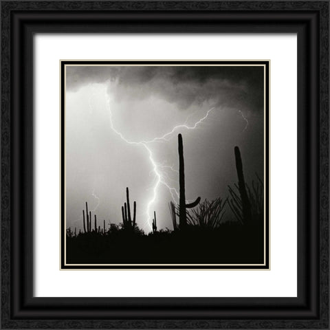 Electric Desert IV - BW Black Ornate Wood Framed Art Print with Double Matting by Taylor, Douglas