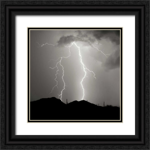 Summer Lightning I - BW Black Ornate Wood Framed Art Print with Double Matting by Taylor, Douglas