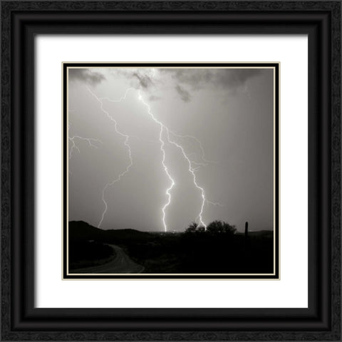 Summer Lightning II - BW Black Ornate Wood Framed Art Print with Double Matting by Taylor, Douglas