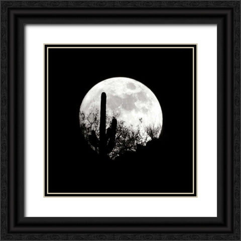 Moonrise in May I Black Ornate Wood Framed Art Print with Double Matting by Taylor, Douglas