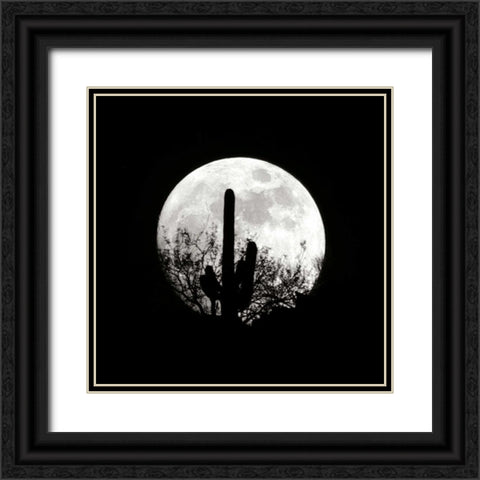 Moonrise in May II Black Ornate Wood Framed Art Print with Double Matting by Taylor, Douglas