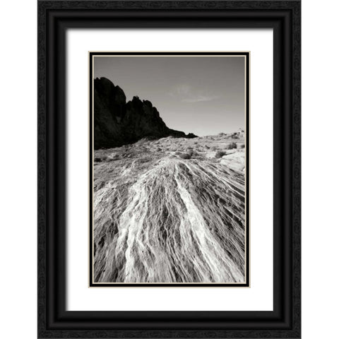 Fiery Sandstone BW Black Ornate Wood Framed Art Print with Double Matting by Taylor, Douglas