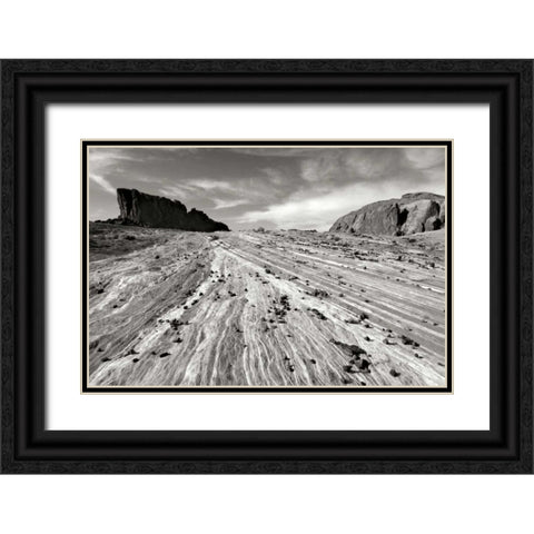 Sands of Time I BW Black Ornate Wood Framed Art Print with Double Matting by Taylor, Douglas
