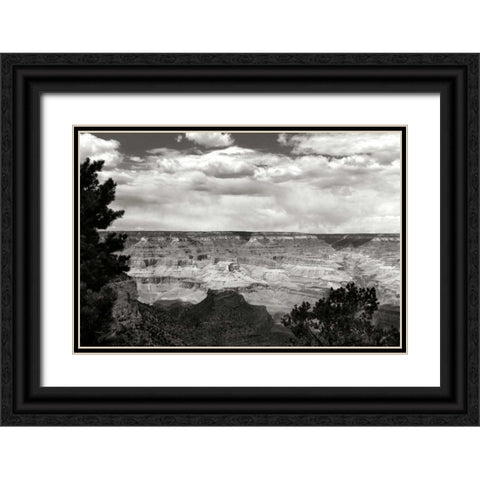 Grand Canyon Skies BW Black Ornate Wood Framed Art Print with Double Matting by Taylor, Douglas