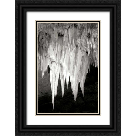 Carlsbad Cavern I BW Black Ornate Wood Framed Art Print with Double Matting by Taylor, Douglas