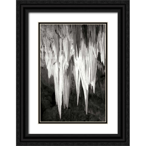 Carlsbad Cavern II BW Black Ornate Wood Framed Art Print with Double Matting by Taylor, Douglas