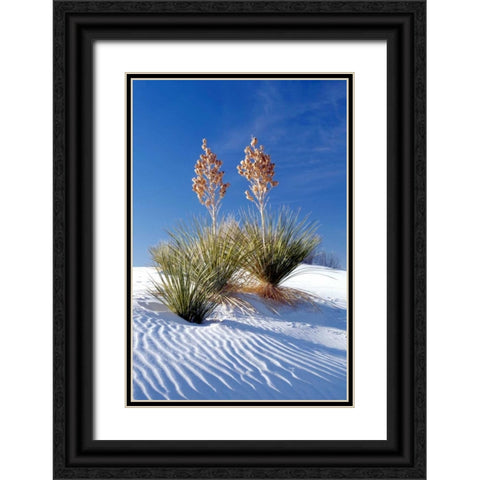 Yuccas and White Sand I Black Ornate Wood Framed Art Print with Double Matting by Taylor, Douglas