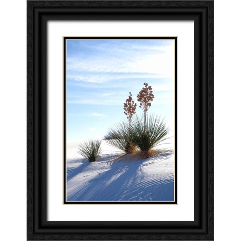 Yuccas and White Sand II Black Ornate Wood Framed Art Print with Double Matting by Taylor, Douglas