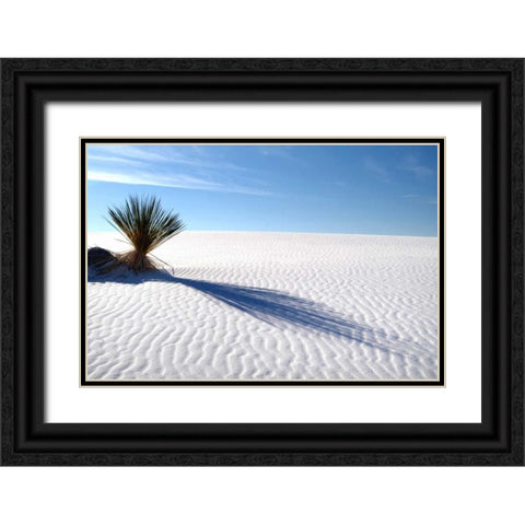 Sand Shadows I Black Ornate Wood Framed Art Print with Double Matting by Taylor, Douglas